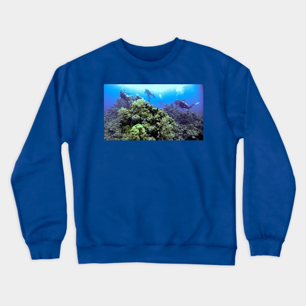 THE DIVE GUIDE Crewneck Sweatshirt by dumbodancer